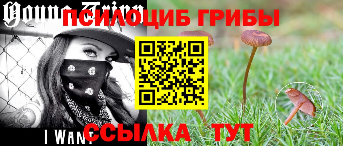 Псилоцибиновые грибы Magic Shrooms  Вход с VPN  Щёлково 