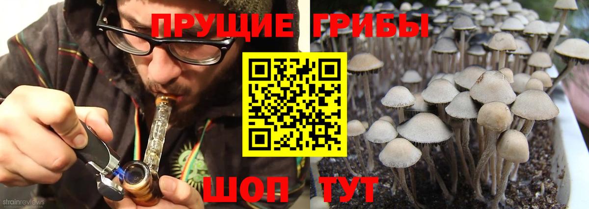 Галлюциногенные грибы MAGIC MUSHROOMS Щёлково