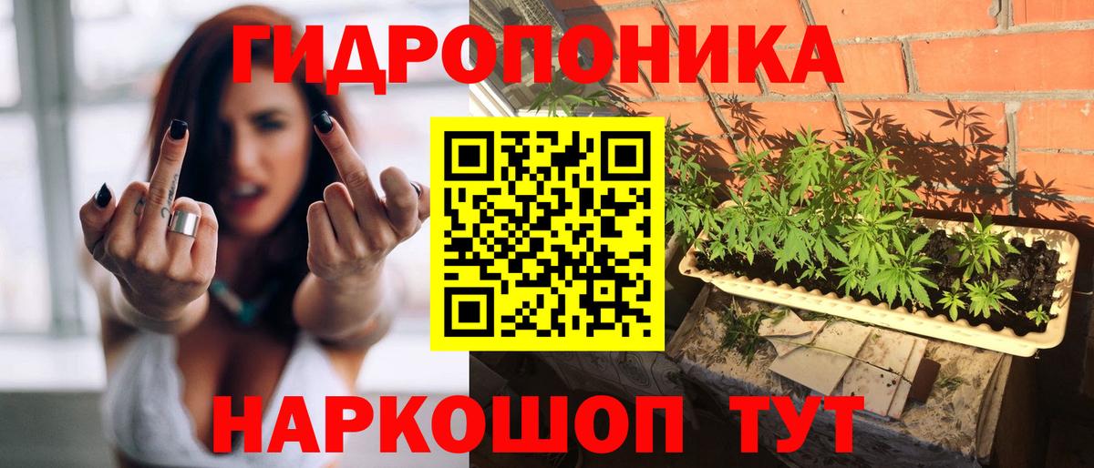 Шишки марихуана конопля Щёлково